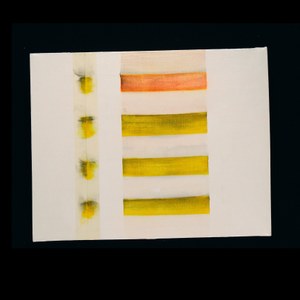 Palette 11.jpg