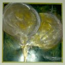 PALU051.jpg