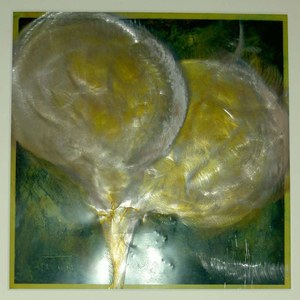 PALU051.jpg